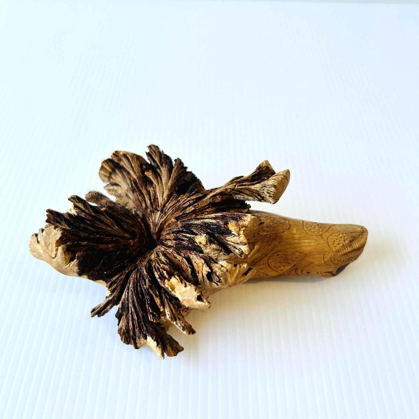 Hand Carved Wooden Lizard Sculpture, Chinaberry Parasite Wood Decor