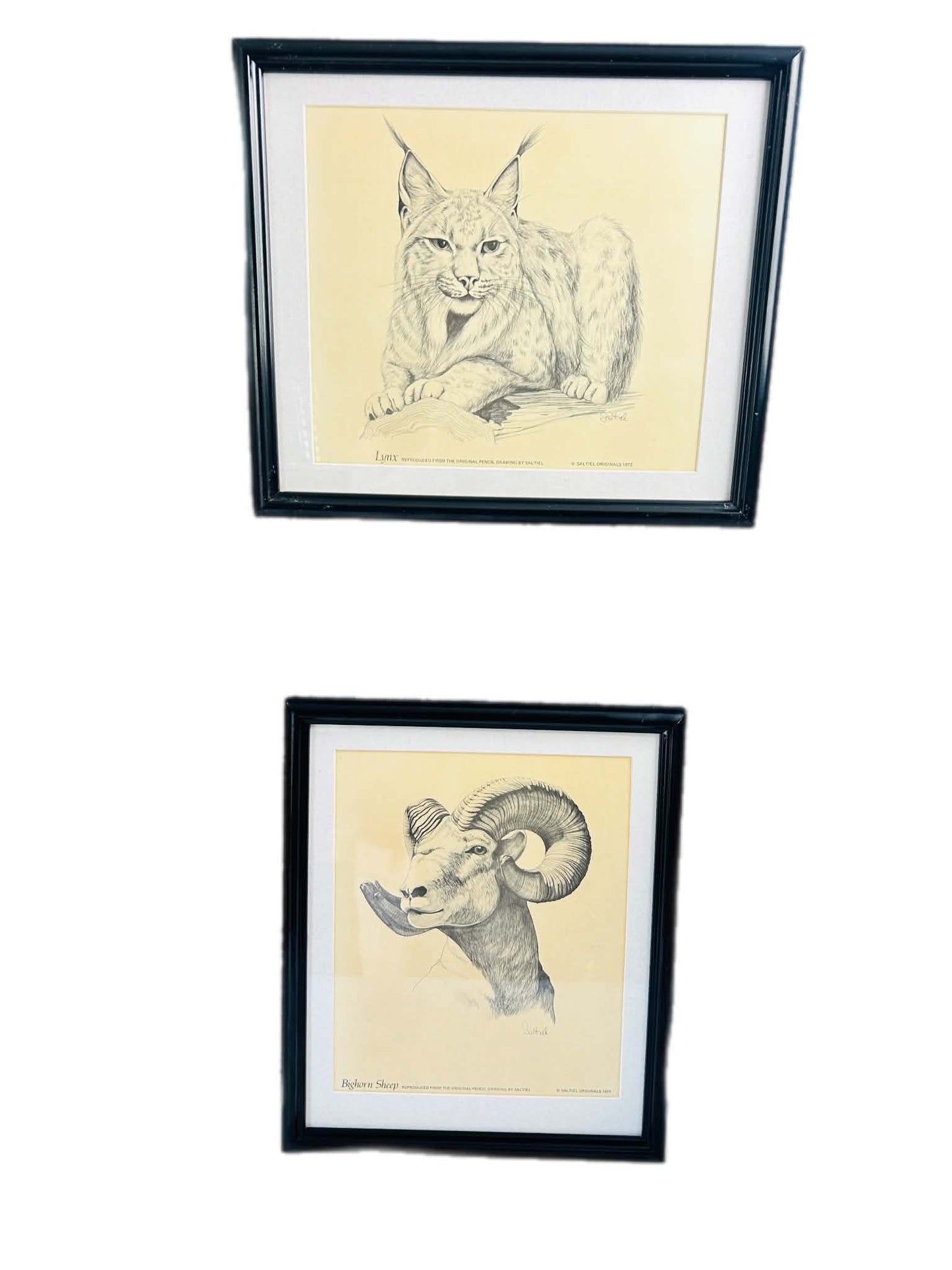 Rustic Wildlife Wall Art Set of 2 – Lynx & Bighorn Sheep Framed Prints