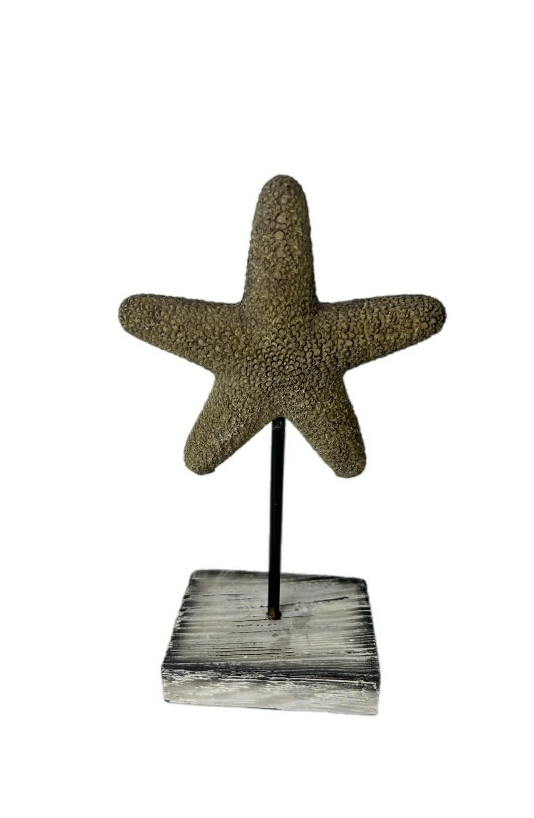 Upcycled Starfish Decor on Timber Stand Shabby Chic White and Black Coastal Home Accent