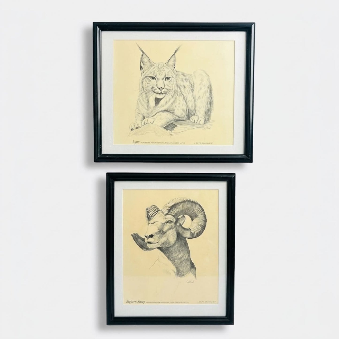 Rustic Wildlife Wall Art Set of 2 – Lynx & Bighorn Sheep Framed Prints