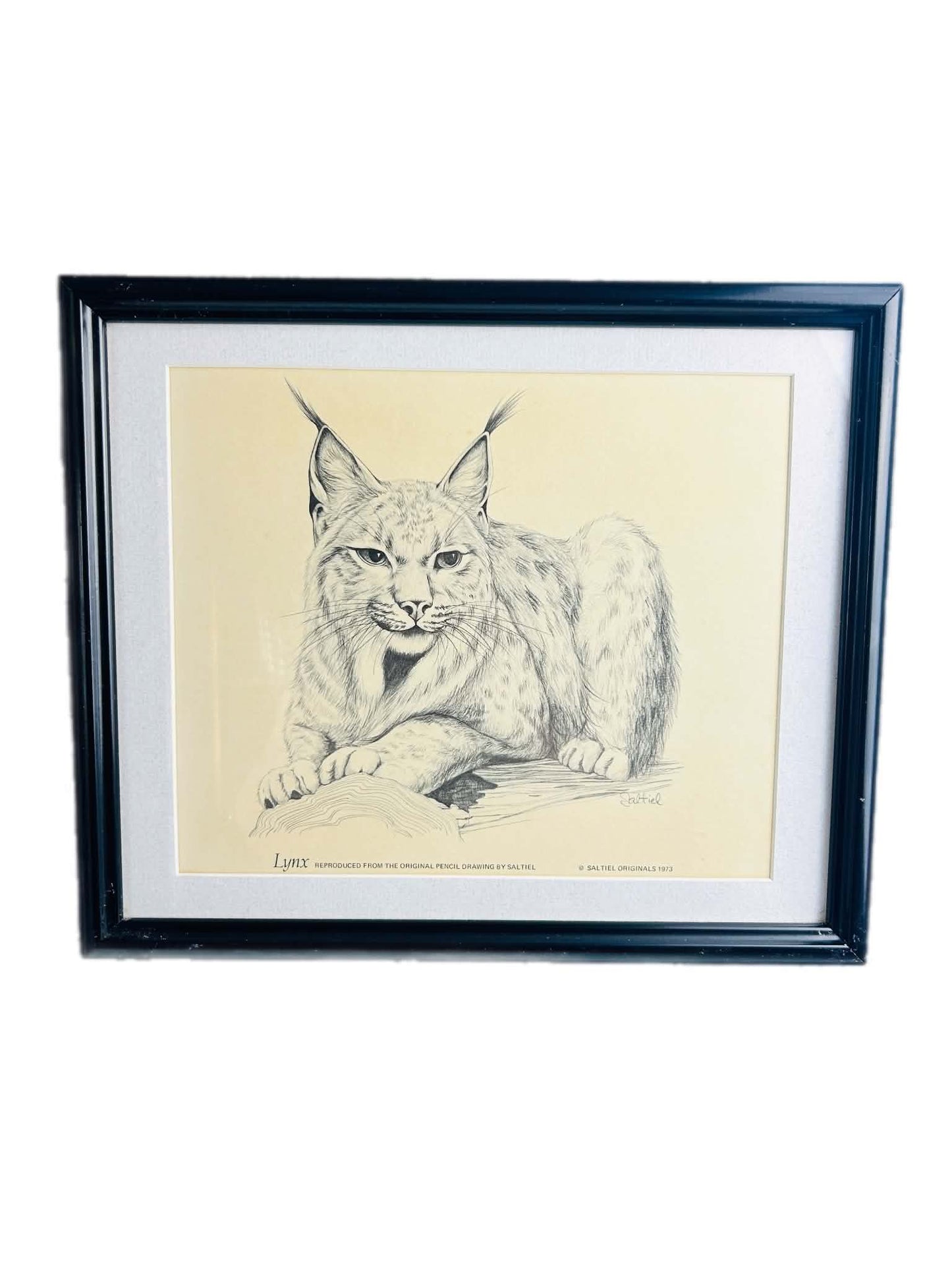 Rustic Wildlife Wall Art Set of 2 – Lynx & Bighorn Sheep Framed Prints