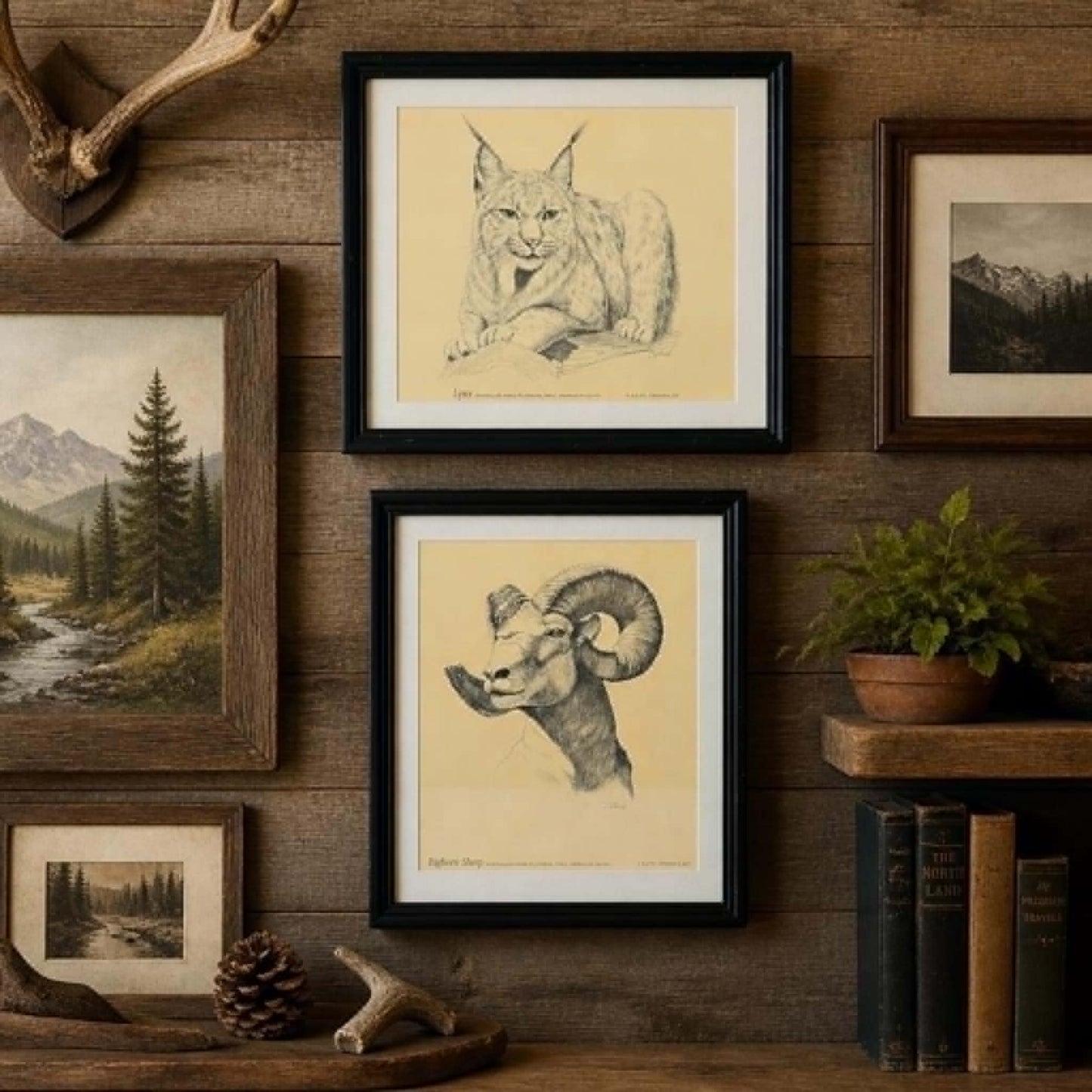 Rustic Wildlife Wall Art Set of 2 – Lynx & Bighorn Sheep Framed Prints