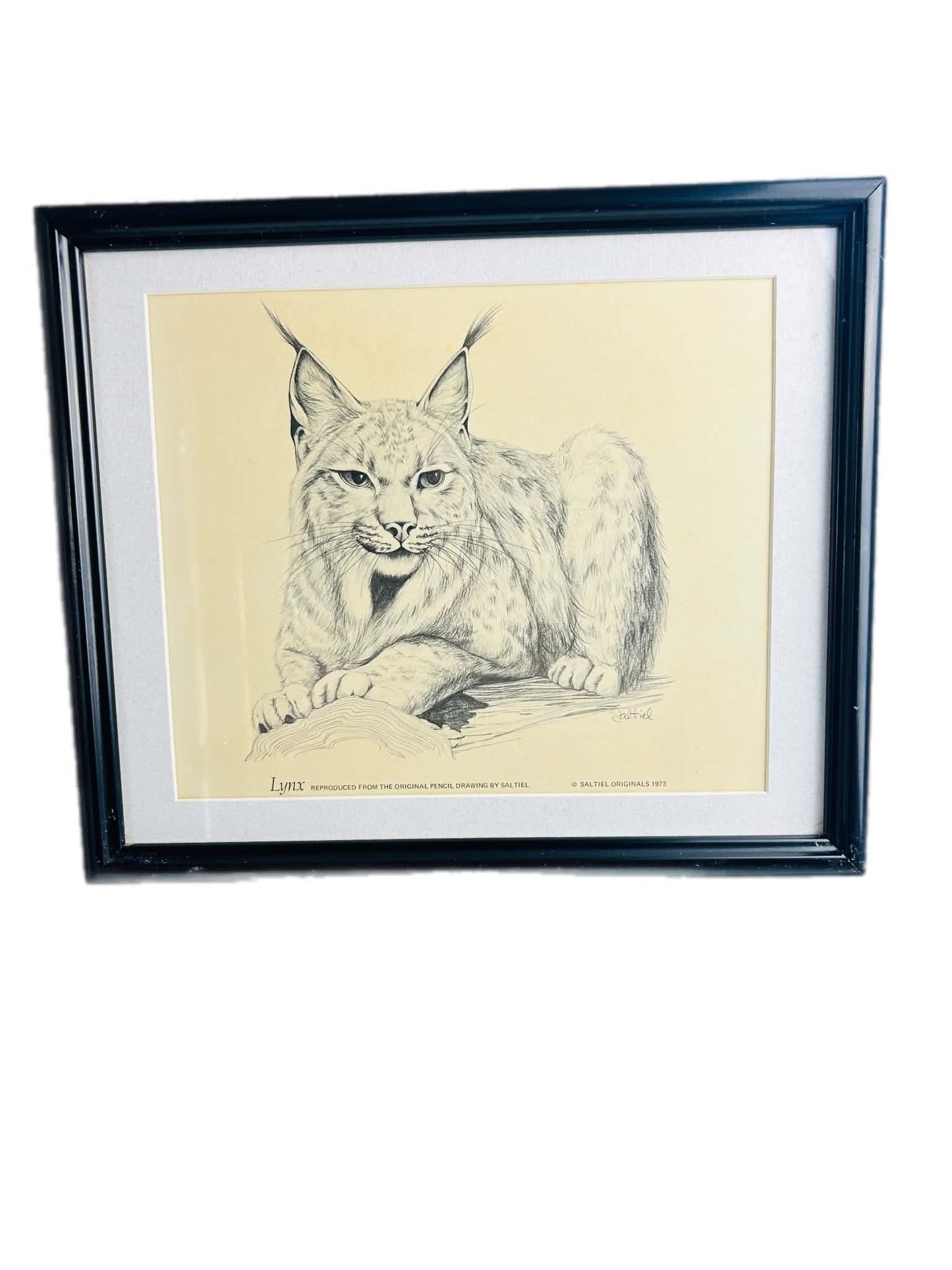 Rustic Wildlife Wall Art Set of 2 – Lynx & Bighorn Sheep Framed Prints