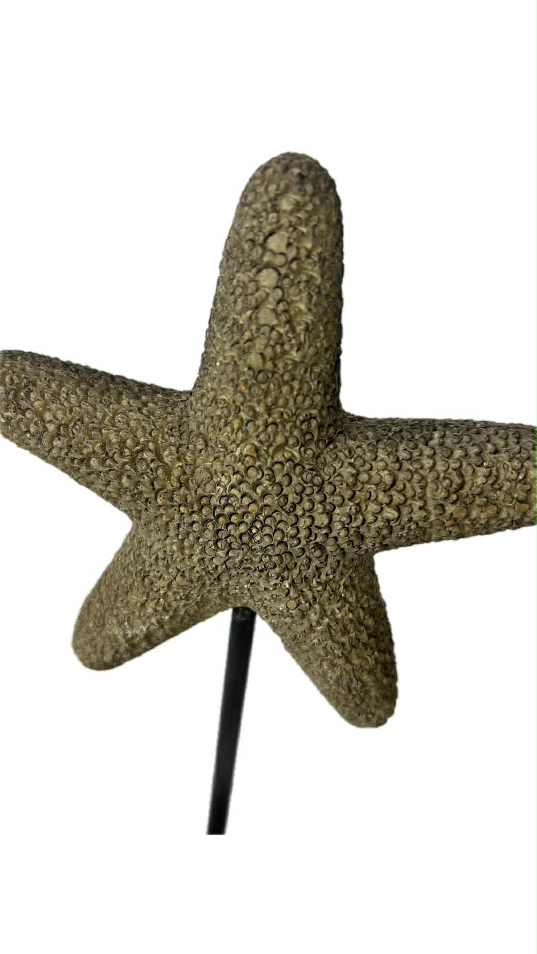 Upcycled Starfish Decor on Timber Stand Shabby Chic White and Black Coastal Home Accent