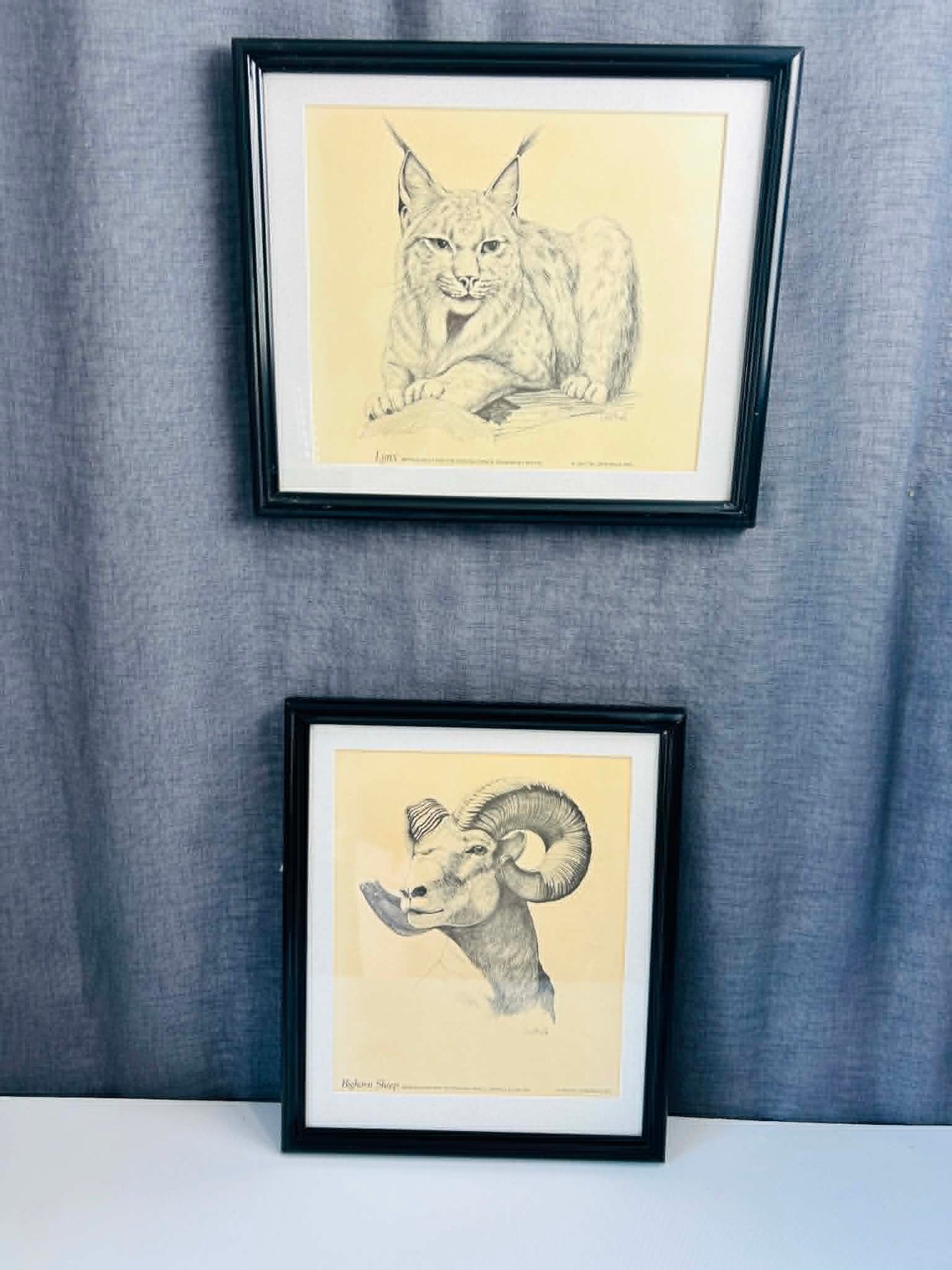 Rustic Wildlife Wall Art Set of 2 – Lynx & Bighorn Sheep Framed Prints