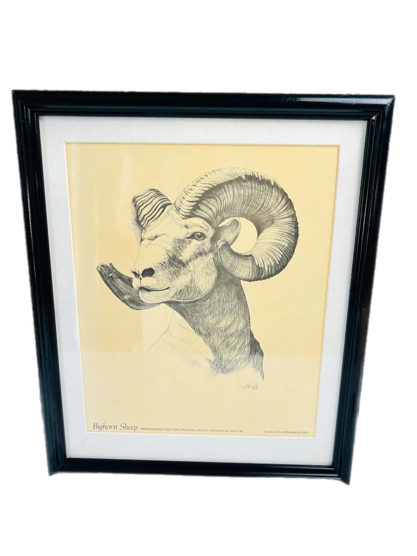 Rustic Wildlife Wall Art Set of 2 – Lynx & Bighorn Sheep Framed Prints
