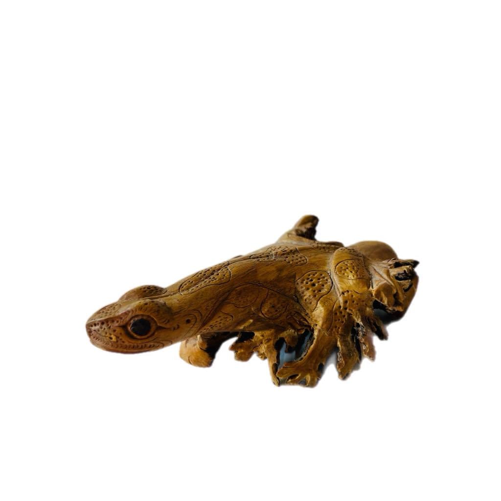 Hand Carved Wooden Lizard Sculpture, Chinaberry Parasite Wood Decor