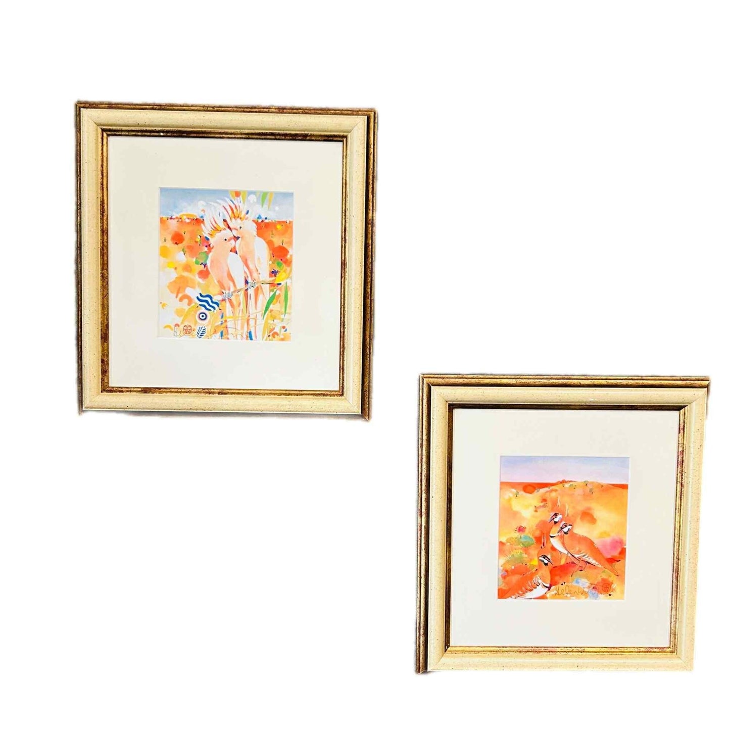 Australian Bird Art by Helen Wiltshire – Colourful Cockatoos and Outback Birds – Framed & Signed