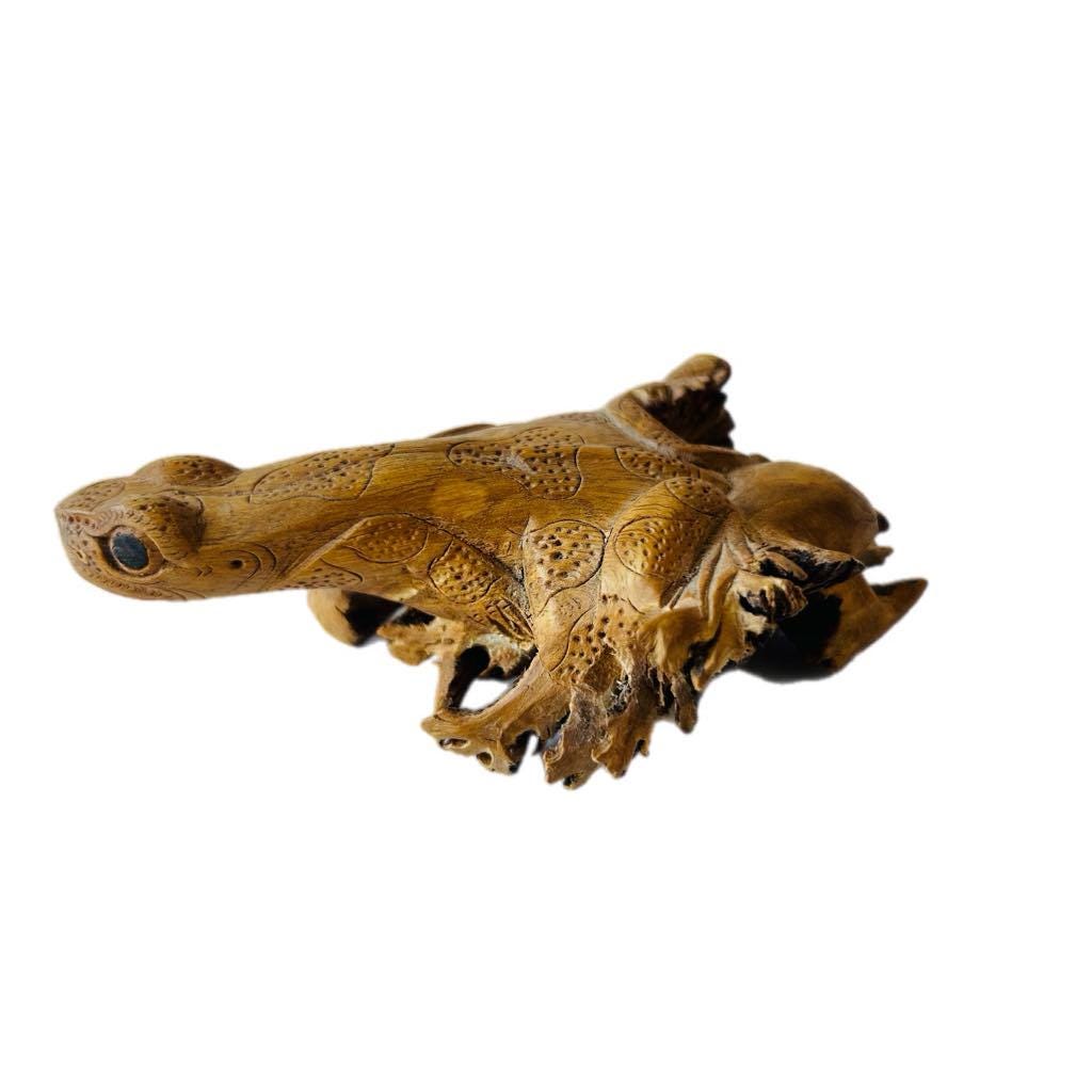 Hand Carved Wooden Lizard Sculpture, Chinaberry Parasite Wood Decor