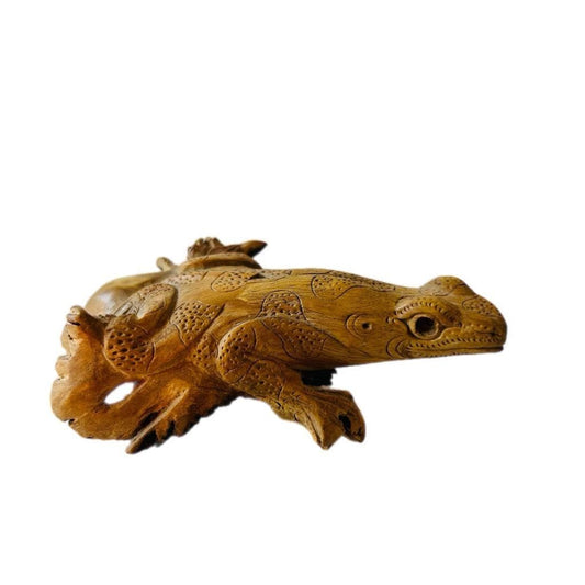 Hand Carved Wooden Lizard Sculpture, Chinaberry Parasite Wood Decor